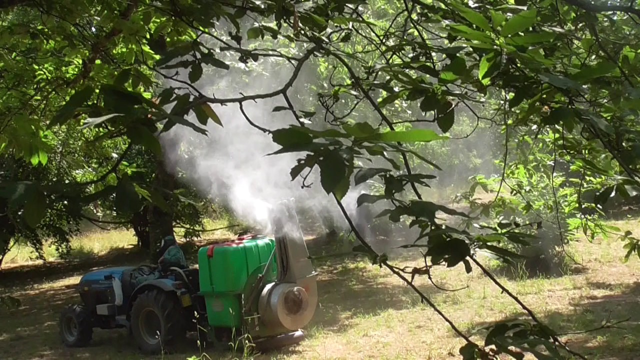 giampi cannone doppia turbina per castagne