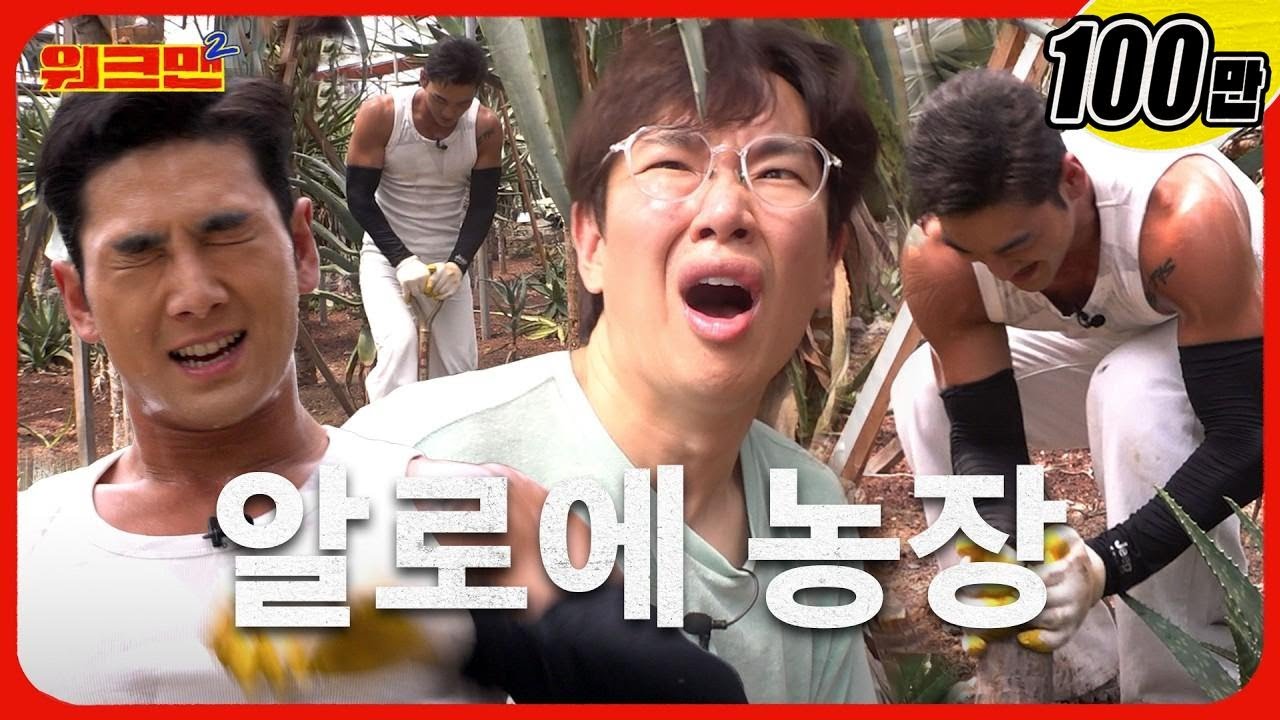 혼자옵서예~ 제주도 농장 뿌리까지 뽑고 왔습니다...🛠️ 목욕비까지 챙겨주는 알로에 농장 알바 | 김정문알로에 | 백호 | 워크맨2