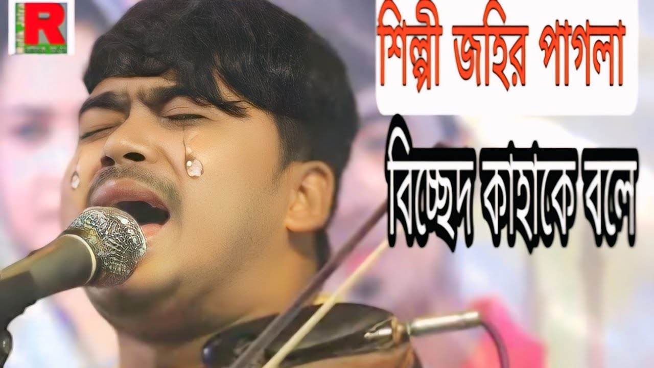 শিল্পী জহির পাগলা //বাউল বিচ্ছেদ গান //Rafiq Jatra