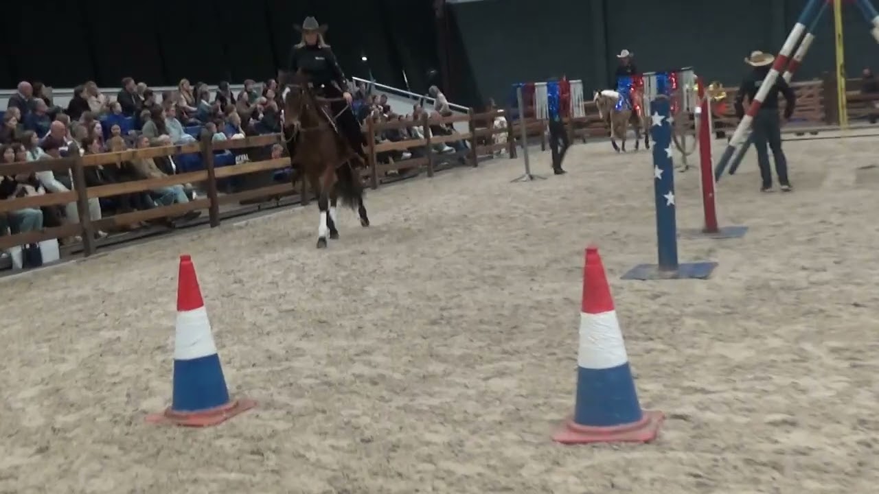 flanders horse expo 2026 demonstratie ac ranch