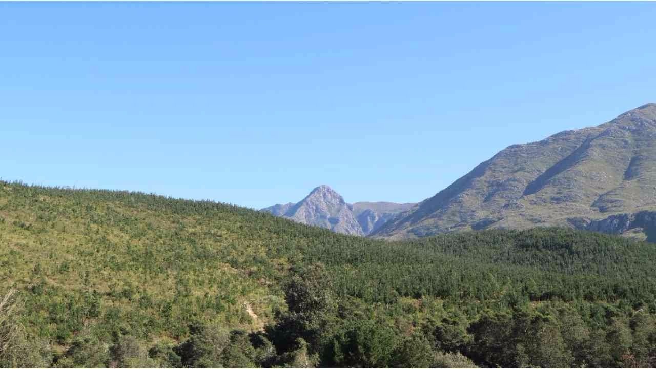 CAMPING IN SWELLENDAM, SOUTH AFRICA | Marloth Lodge | Western Cape