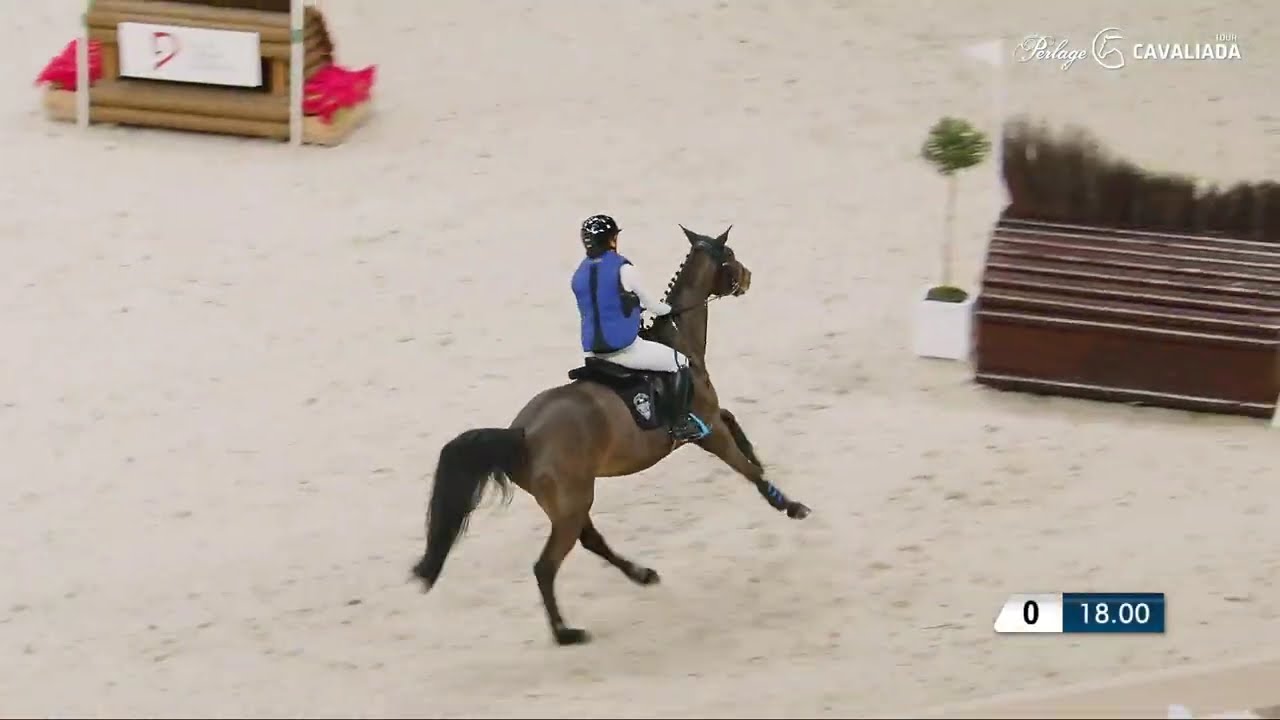 Julia Gillmaier  CAYADA M  Cavaliada Łódź  2026