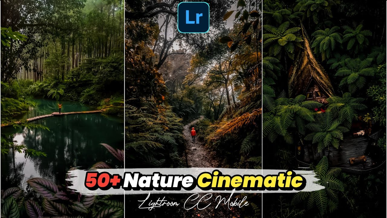 Free 50 Preset Lightroom Cinematic Alam | Nature Cinematic Presets | PRESET LIGHTROOM TERBARU 2021