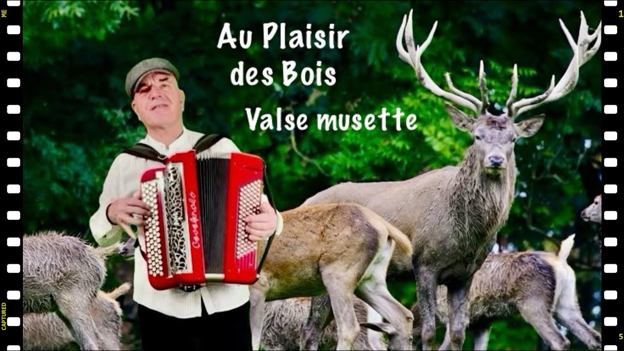 « Au Plaisir des Bois» valse musette que jouait André Verchuren, accordéon musette #accordéon #valse