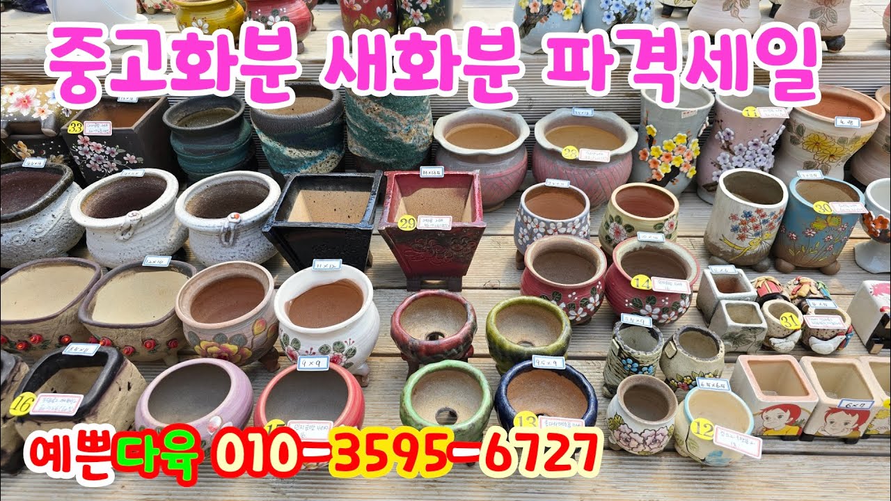 250512📍#예쁜다육 일사분 호산분 서현분 명화분 본토분 희야분 정스분 예운분 도앤도분 민지분 락분 건이분