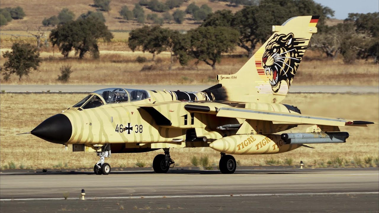 NATO Tiger Meet 2025 – День наблюдателей