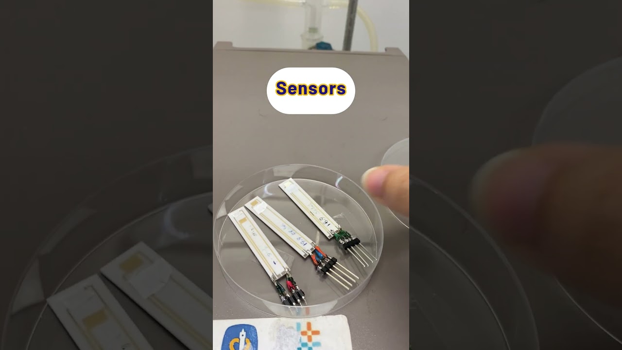 How to setup gas detection equipment in a laboratory