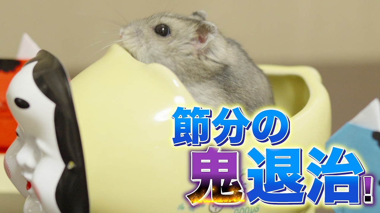 [第25話] ハムスターの必殺技炸裂で鬼撃退に成功！ | My Hamster's Setsubun!