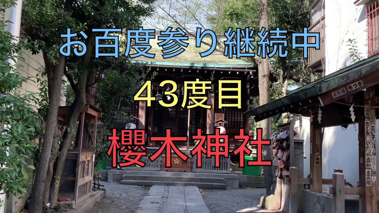 【お百度参り43度目】櫻木神社 本郷で学問の神様とお稲荷様を参拝