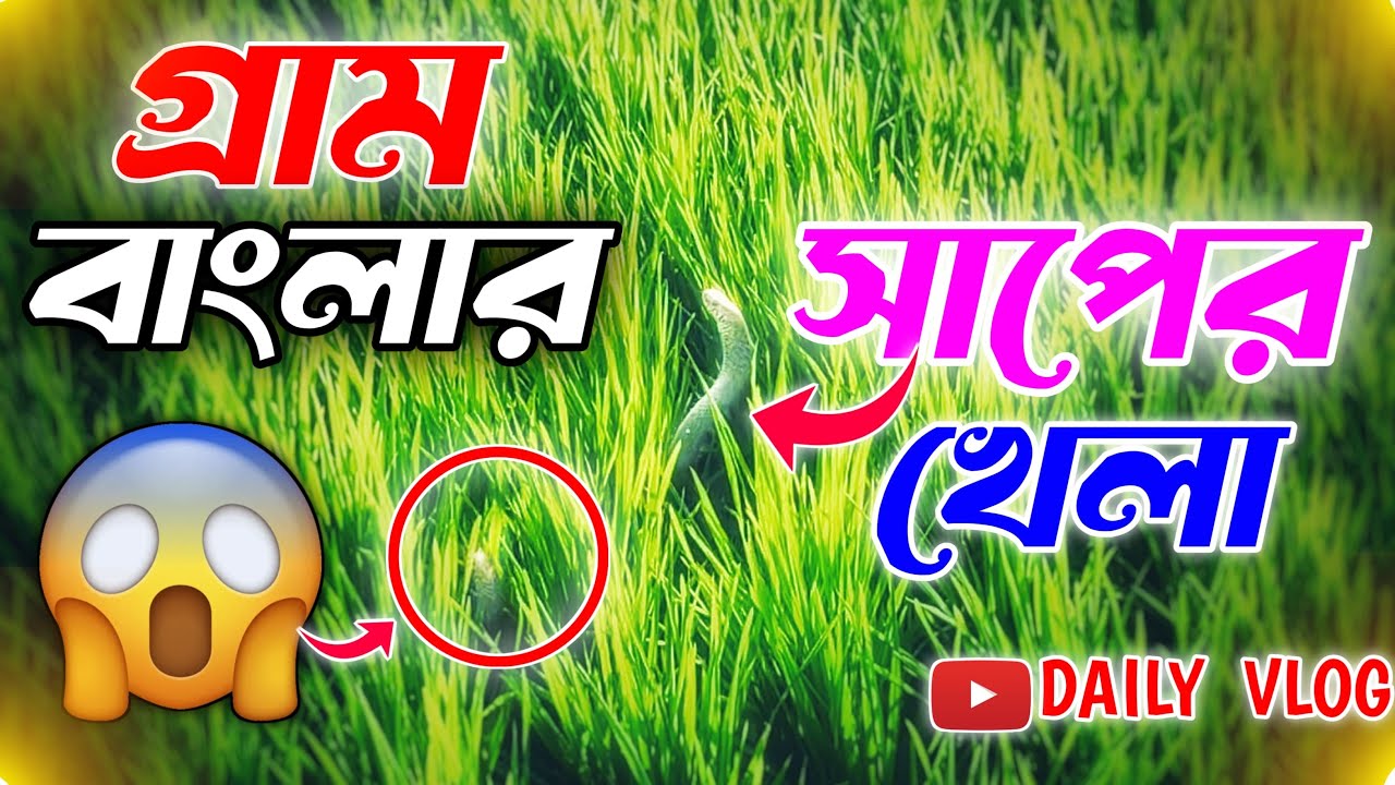 গ্রাম বাংলার সাপের খেলা 🐍 নিউ গ্রাম বাংলার ব্লক ভিডিও 🎥 সারাদিন এদের সাথে কিভাবে কাটালাম 🐐 নিউ ভিডিও