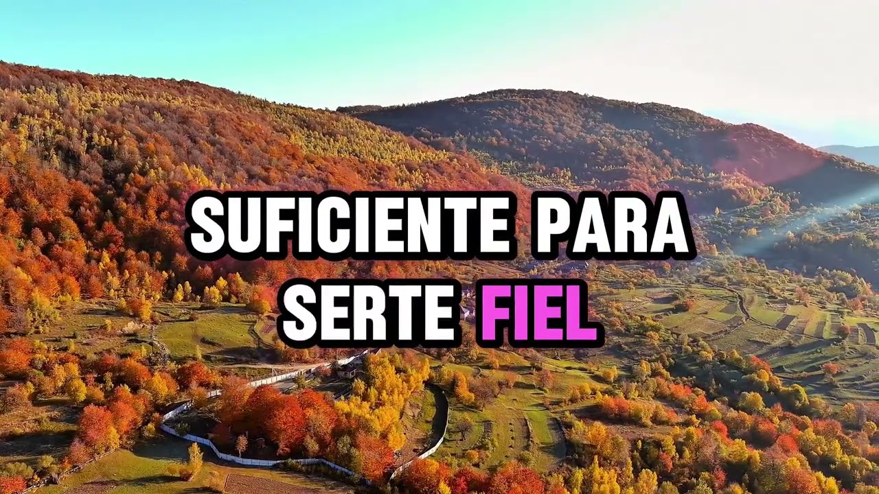 Razón suficiente - Alabanza