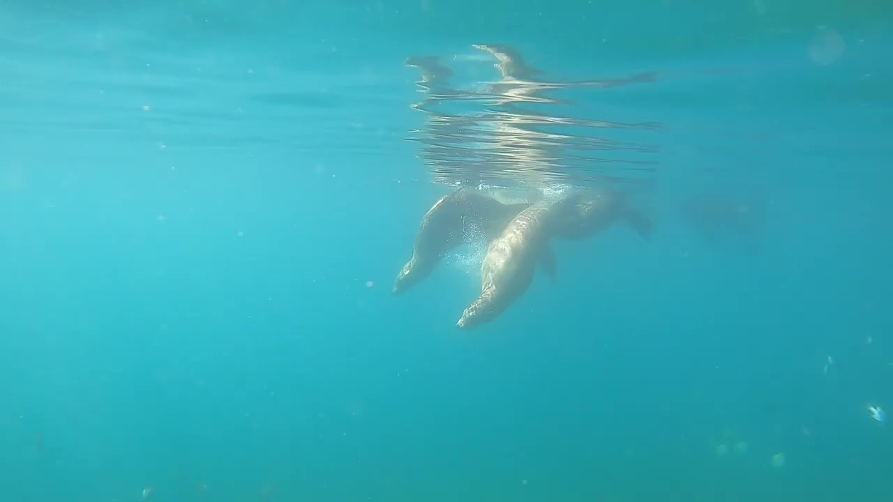Balandra Bay La Paz   March 2023