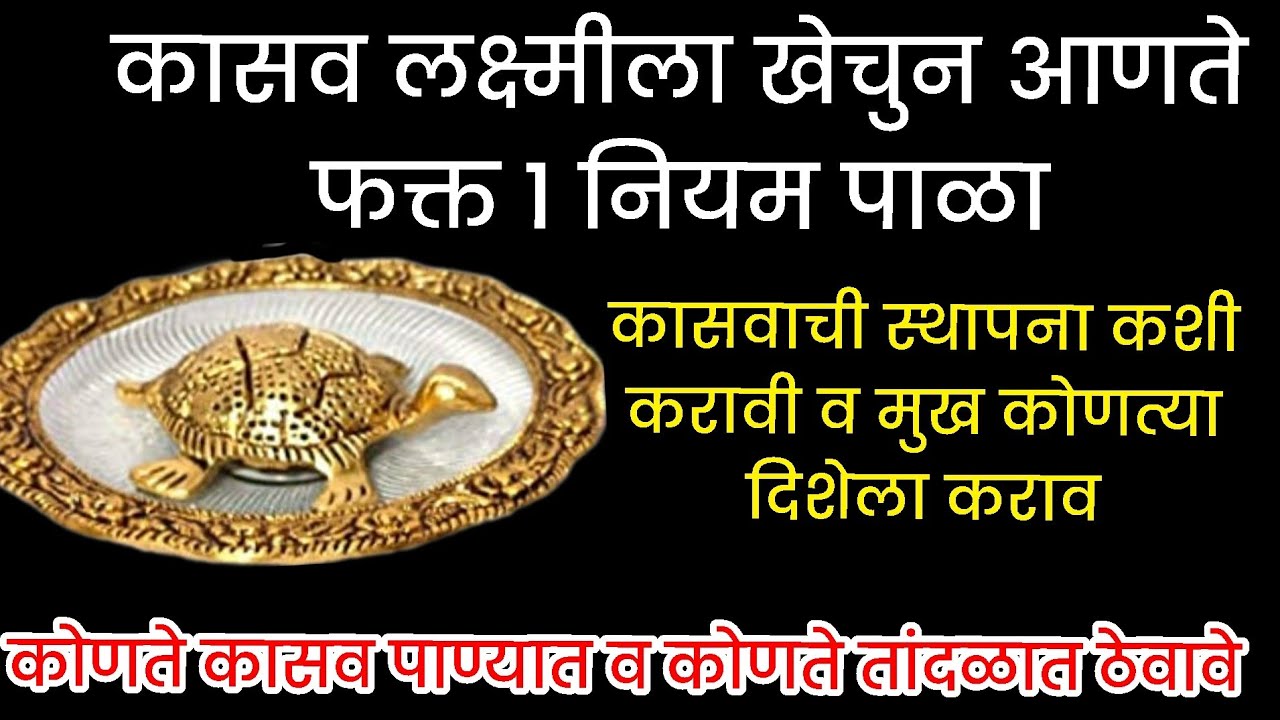 कासव लक्ष्मीला खेचुन आणते.कासवाची स्थापना व मुख कोणत्या दिशेला कराव.कासव पाण्यात ठेवावे की नाही