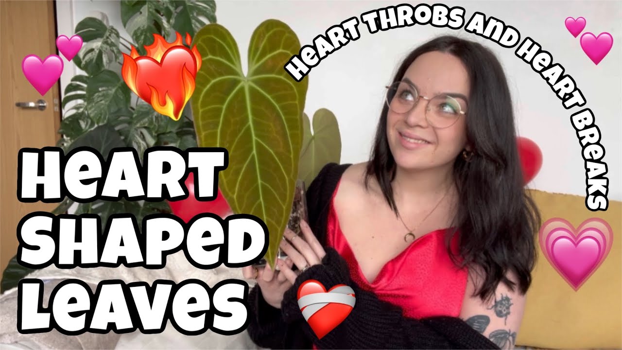 Current heart throbs ❤️‍🔥 and heart breaks ❤️‍🩹 in my collection! | Happy Valentine's Day! 💖
