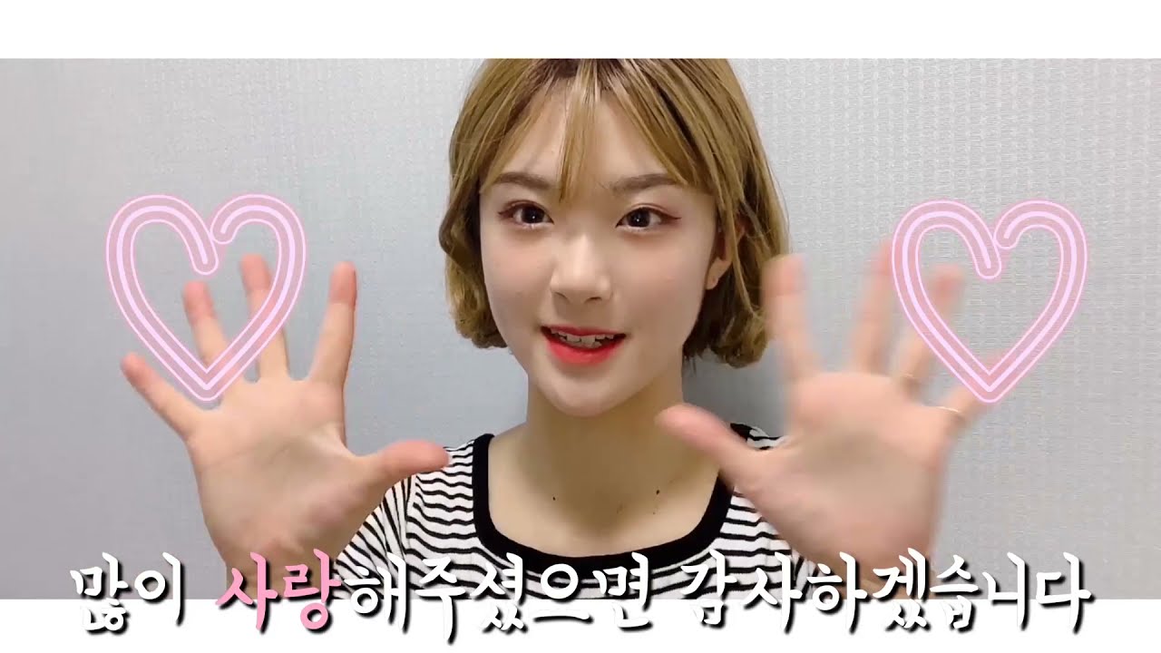 [핑크피플후기] 유튜버 대란 일어난 수제가발이 런칭됐다😍 편안하고 예쁜 가발로 소문난 수제가발! _ 핑크에이지(pinkage)