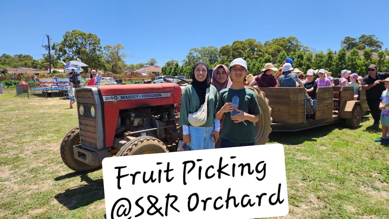 Fruit Picking @ S&R Orchard | Holiday in Perth | School Holiday 2023