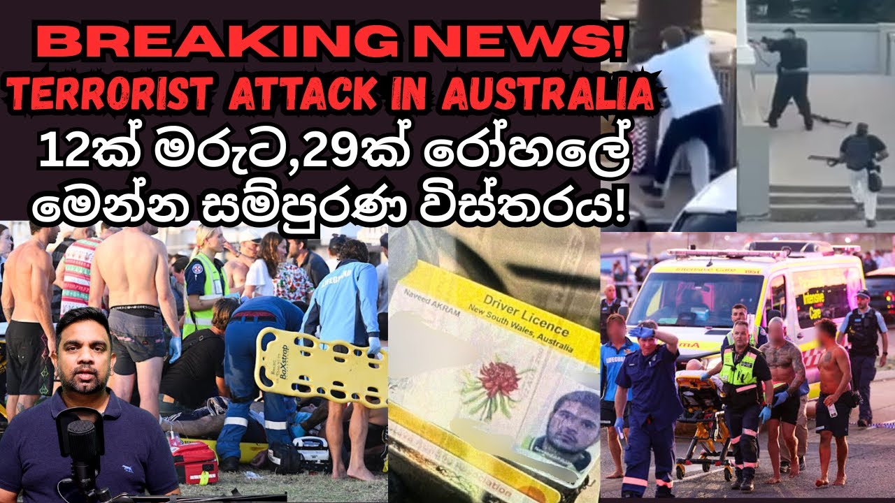 Bondi Shooting Explained: Facts, Fear & Reality