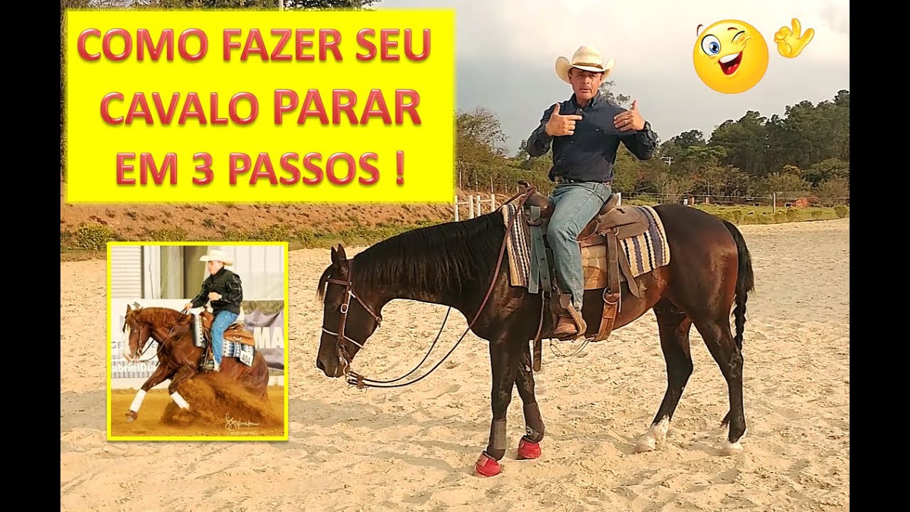 Como fazer seu cavalo parar em 3 passos! - Rui Pandolfo
