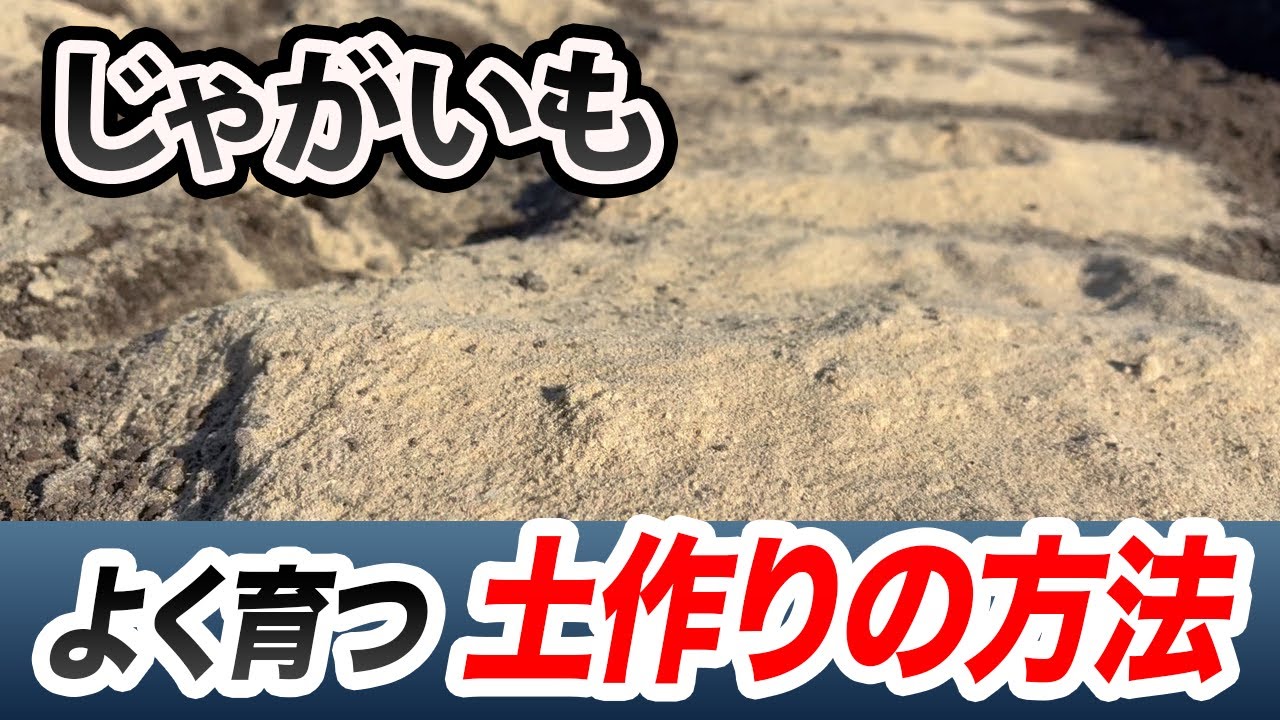 【じゃがいも】米ぬかとの相性がとてもいい理由とは　米ぬかを入れるだけで病気がでない！？