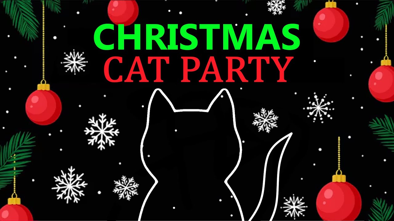 Immersive Interactive Warm-up Christmas CAT Mischief!