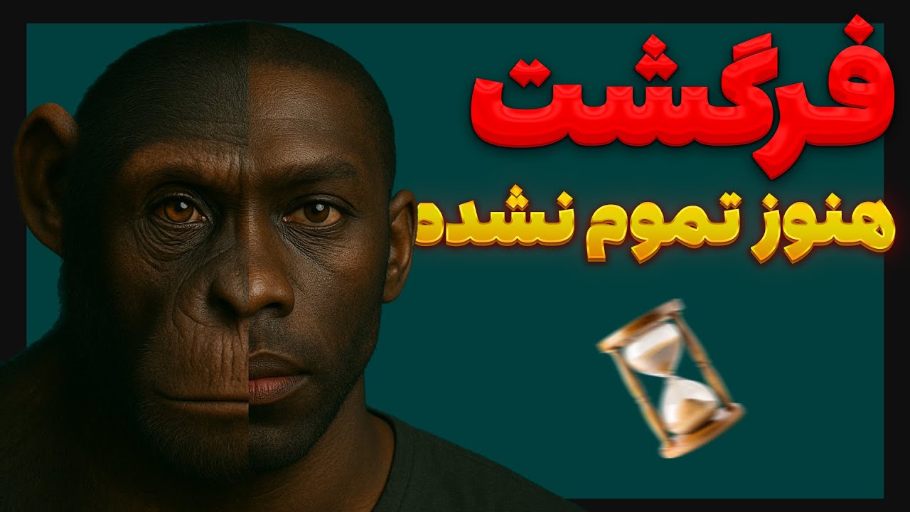 چگونه یک حیوان ابزارساز تبدیل به انسان شد؟