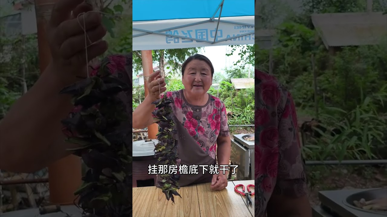 老妈今天做冻茄子 嗮茄裤 #农村美食 #农村生活 #冻茄子 #新农人计划2025 #黑土地上的农村生活