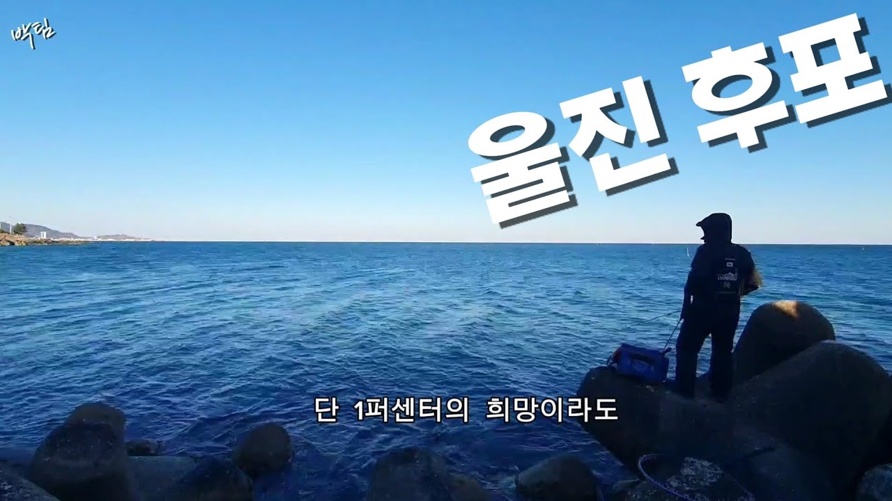 울진 봄 감시 시즌임박!