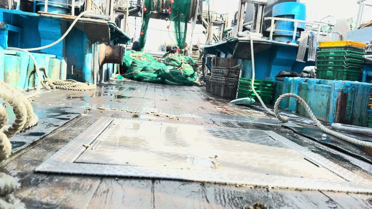 Kapal trawl korea #kapalikan #tkikorea #tkiindonesia #pahlawandevisanegara 