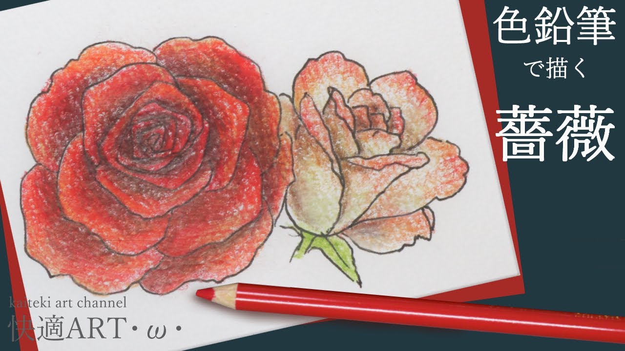 【色鉛筆】薔薇のイラスト　描き方解説、手紙やはがきなどの挿絵イラストに！リアルで立体感ある秋薔薇
