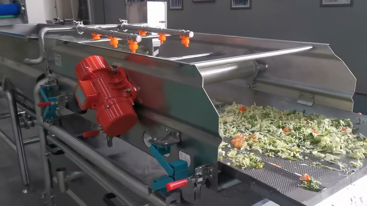 Leafy Vegetables Cleaning Processing Machine Lettuce Washing Line
