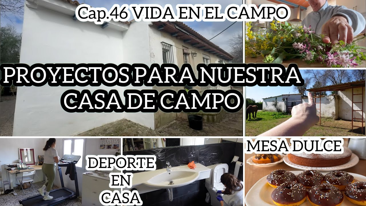 🌳PROYECTOS CASA CAMPO/LIMPIEZA/🍩DONETES Calabaza/ENSALADILLA COLIFLOR/Reseña cinta correr FITKOL NB2