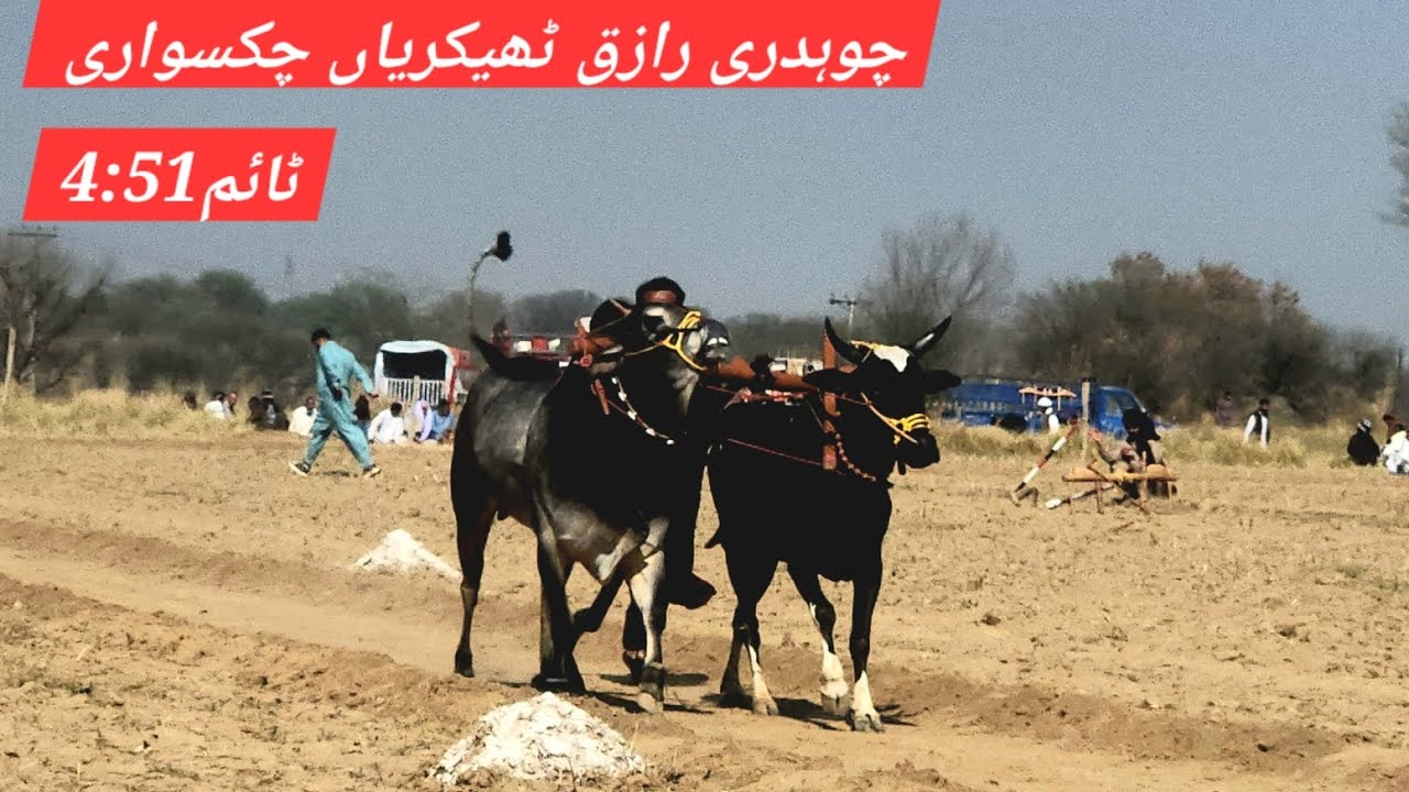 Ch razik thikriyan chakswari | dand balochan ala | mela 16.2.2026