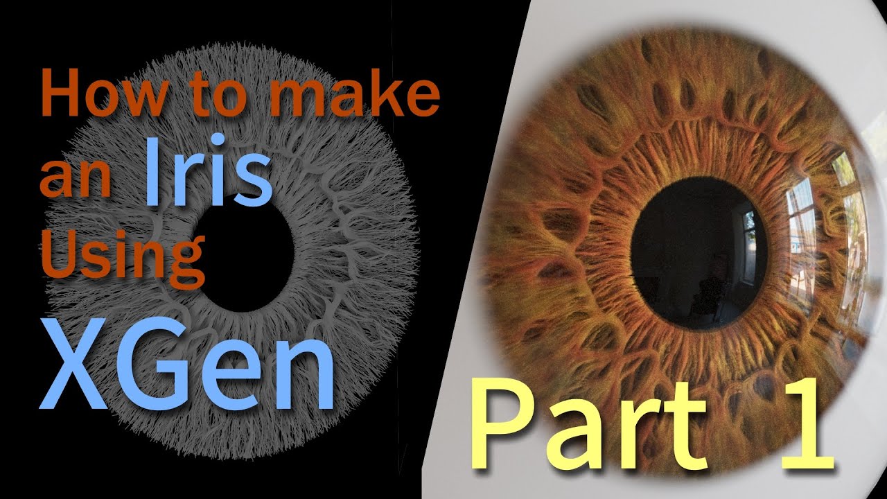 How To Make An Iris Using XGen - Part 1 of 2 [Sub English/Japanese]