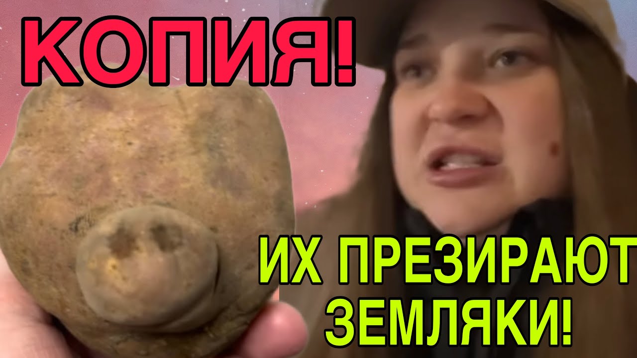 ИХ ПРЕЗИРАЮТ ЗЕМЛЯКИ! ПОЗОР! ANYANASTYA LIFE. ОБЗОР. 