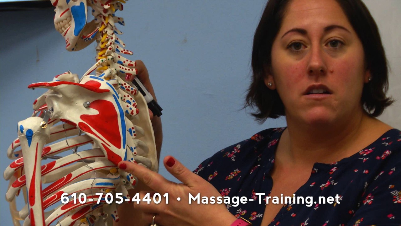 Academy of Massage Therapy and Bodyworks - Theresa