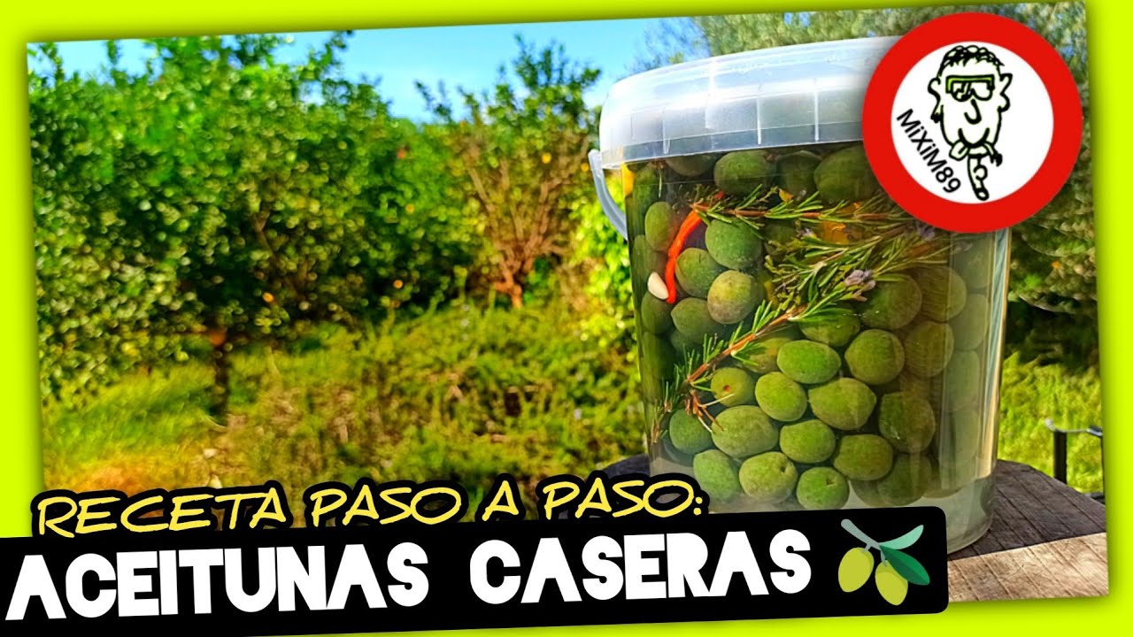 ACEITUNAS de MESA CASERAS (Solo 11 D&iacute;as) Recolecci&oacute;n, Preparaci&oacute;n y Ali&ntilde;ado by mixim89