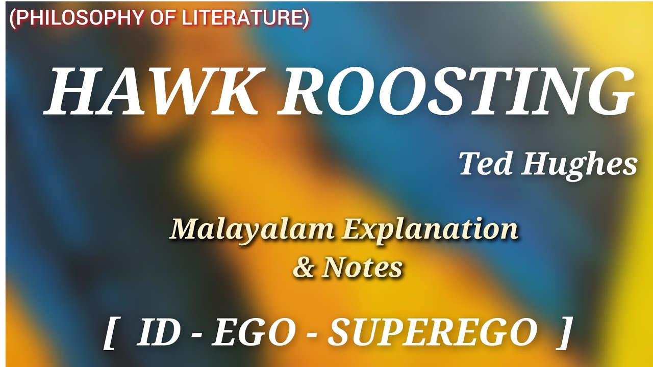 Hawk Roosting | Summary in Malayalam | Ted Hughes |#keralauniversity #literaturemiss