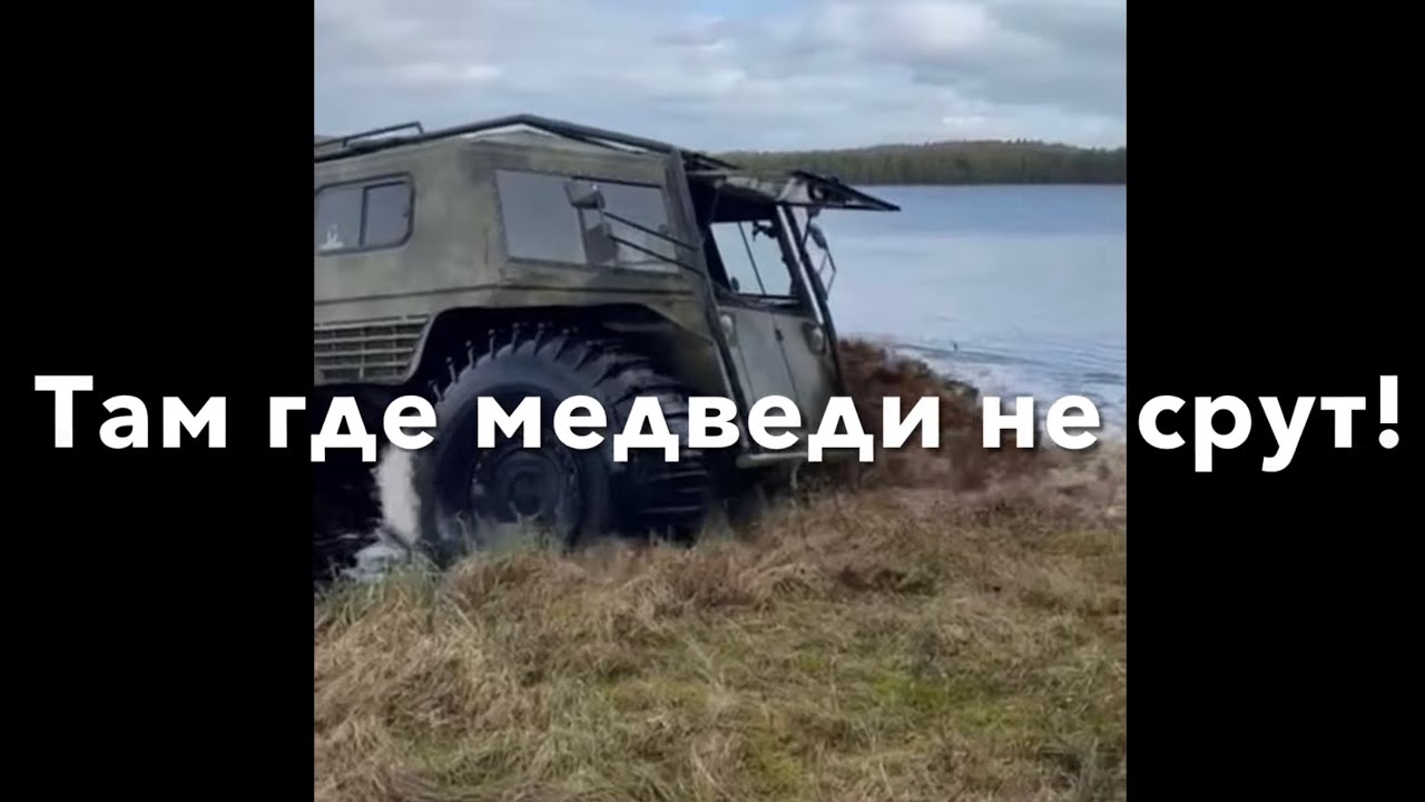 Там где медведи не срут.
