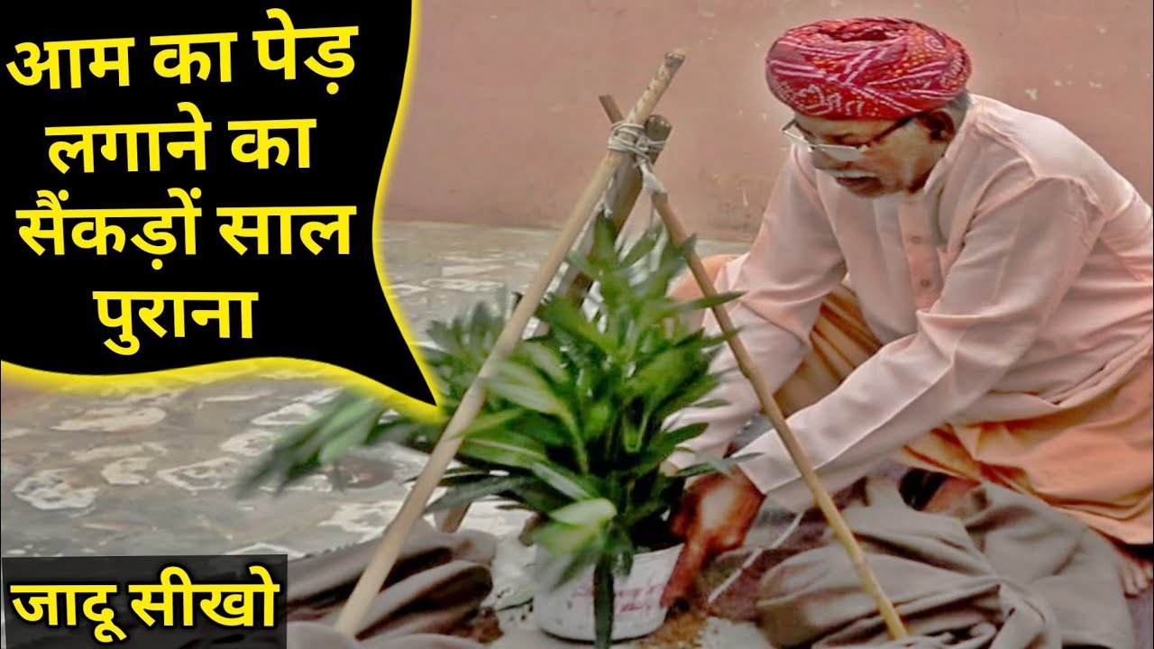 आम का पेड़ लगाने का सैंकड़ों साल पुराना जादू सीखो GuruChela magician,Magic,Jadu No260 magic exposed
