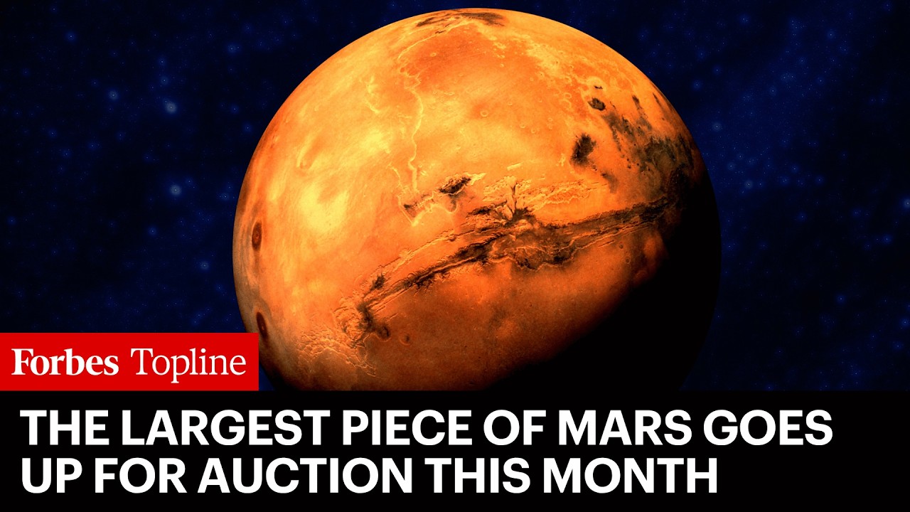 The Largest Piece Of Mars Ever Found On Earth Is Being Auctioned For Millions This Month