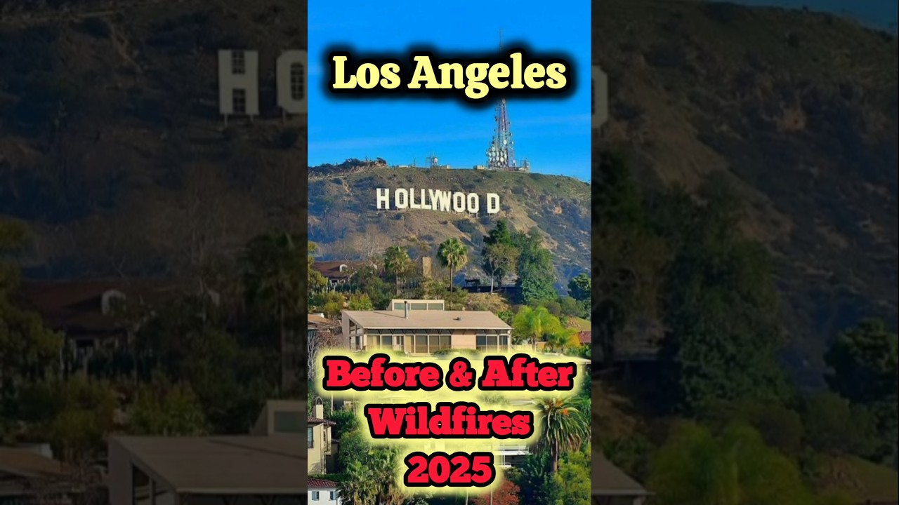 Los Angeles Before & After Wildfires 2025! #Wildfires destroyed Everything  #losangeles #hollywood