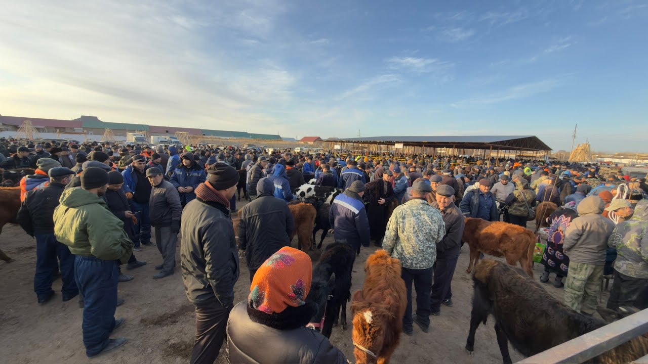 БЕРУНИЙ УЖАК БОЗОРИ 2 КИСМ 15.03.2026