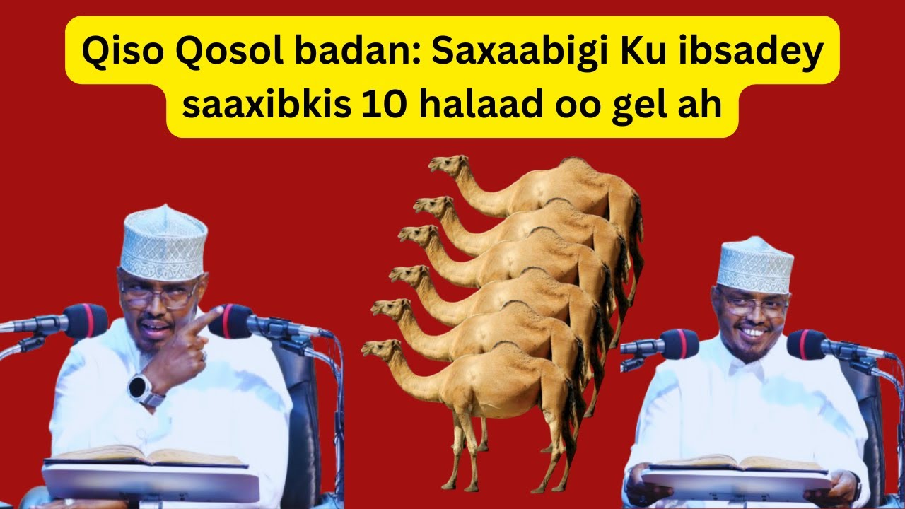 Qiso Qosol: Saxaabigi Ku ibsadey saaxibkis 10 halaad oo gel ah Sh Xassaan Xusein