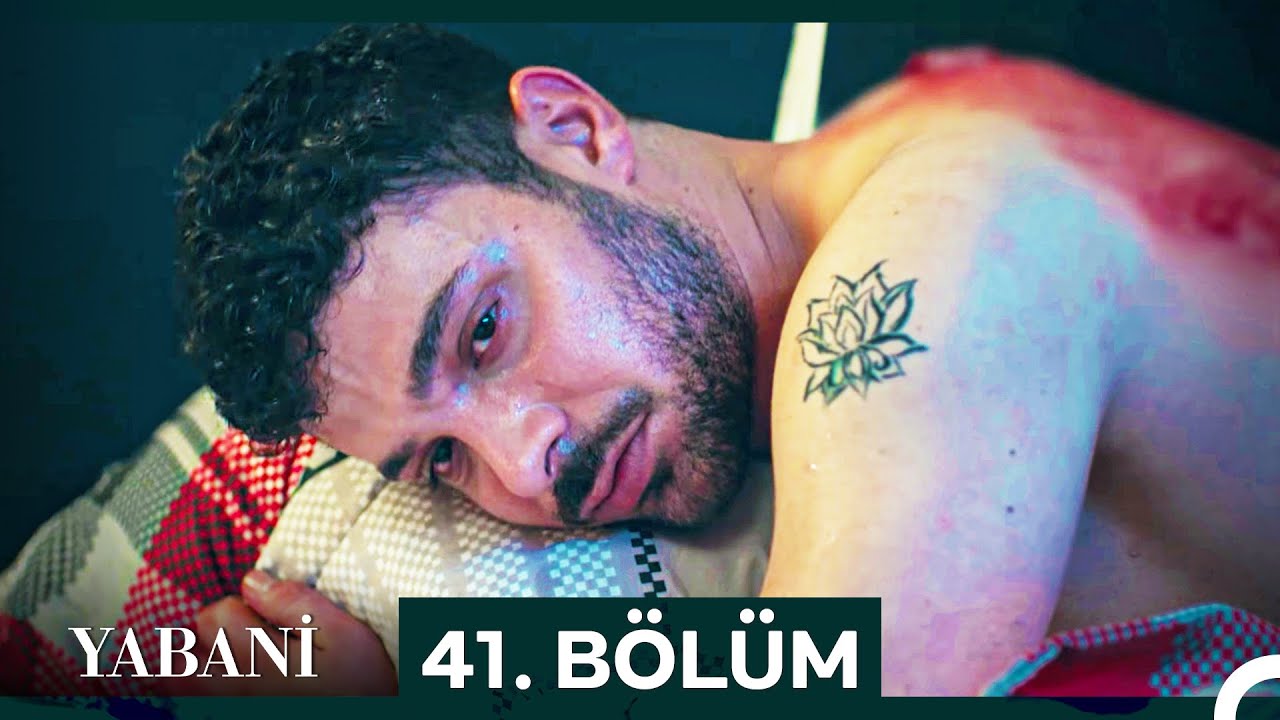 Yabani 41. B&ouml;l&uuml;m