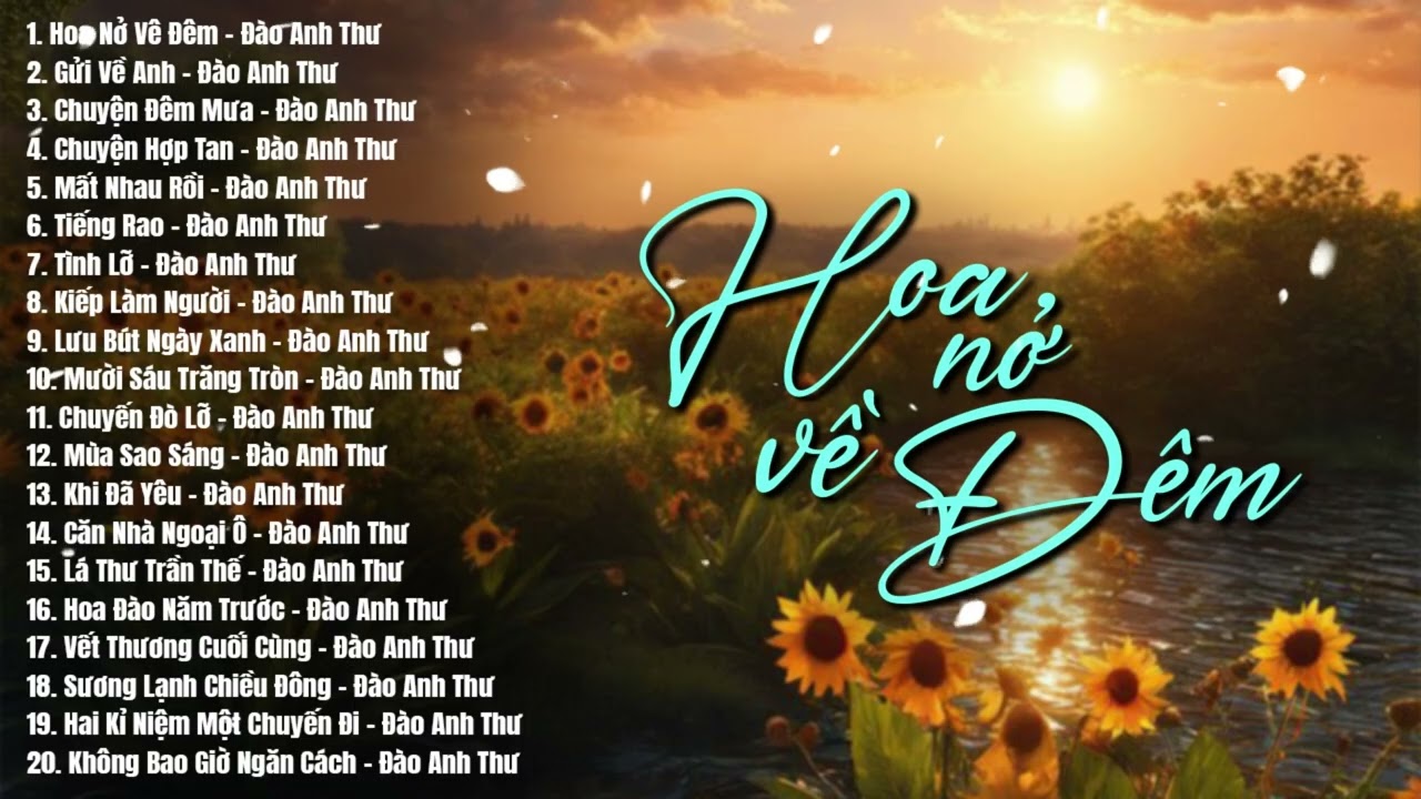 Giai Điệu Ngọt Ngào Khiến Bao Con Tim Xuyến Xao - 20 Bài Nhạc Vàng Phòng Trà Dễ Nghe Dễ Ngủ