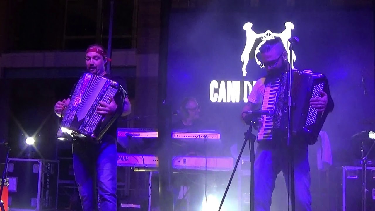 CANI della BISCIA  & Samuel Rossi  