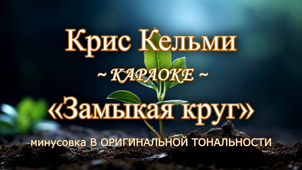 Крис Кельми - 