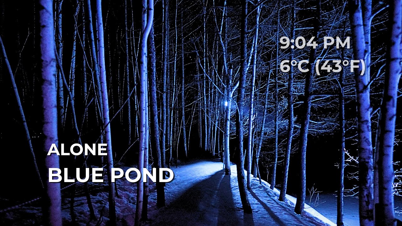 ALONE at the BLUE POND — 15 Min Absolute Silence | Biei, Hokkaido, Japan [4K] | Quiet Walk #041