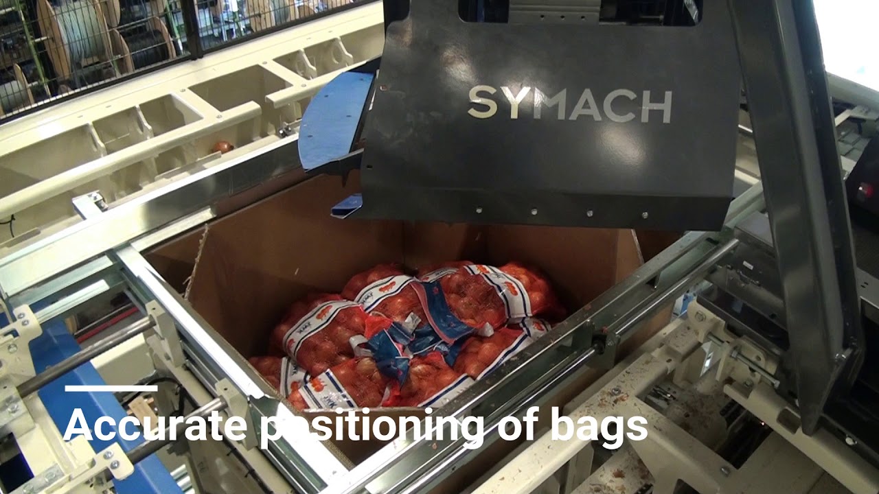 8806 Stacking onion bags in Octabin Pallet box fully automatic