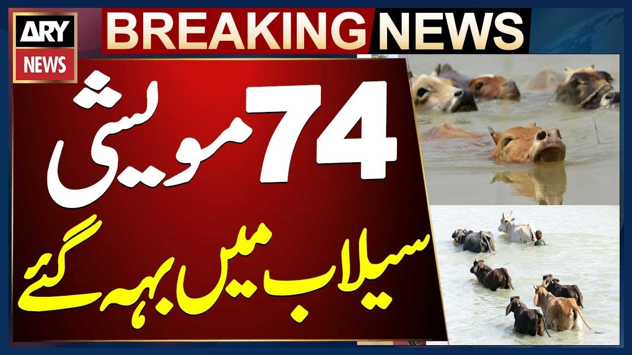 Hafizabad Flood Disaster ⚠️ - Pakistan Flood Updates